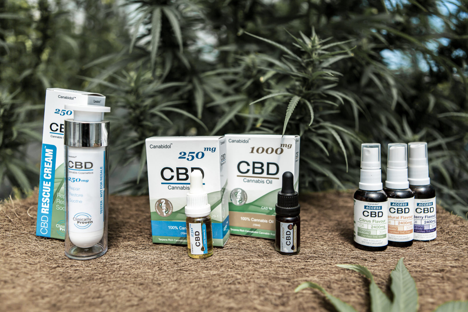 News - BRITISH CANNABIS™