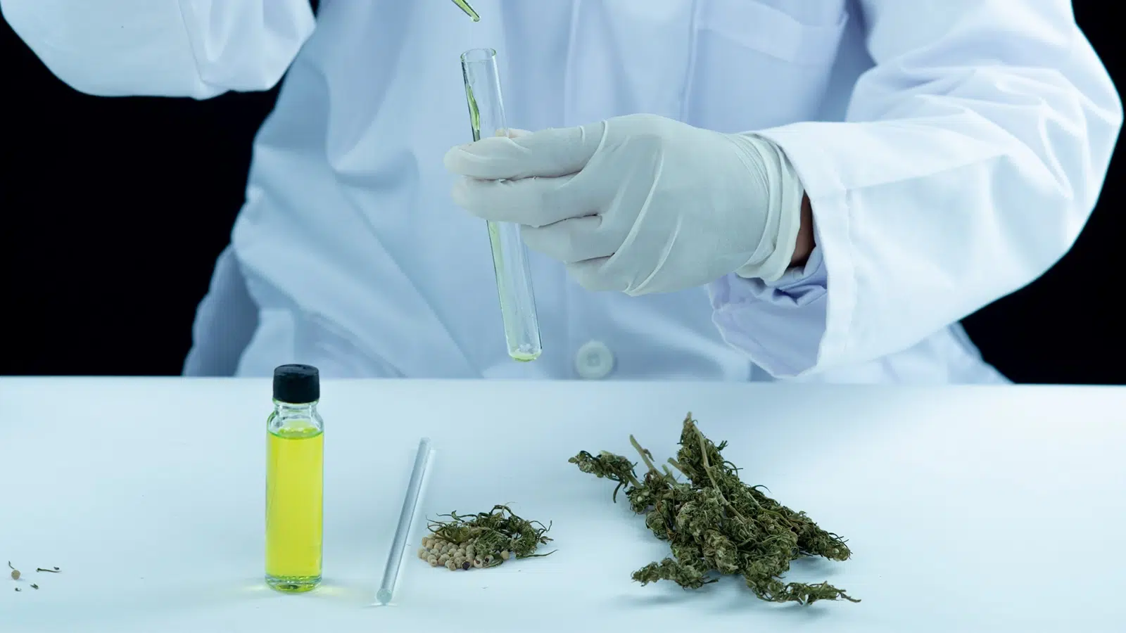 how medical cannabis
