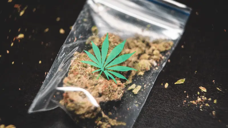 Medical Cannabis vs Recreational Cannabis